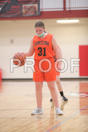 20211124_Mancelona Girls 8th loss to Bellaire_0119