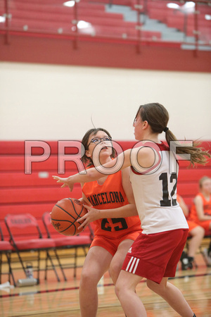 20211124_Mancelona Girls 8th loss to Bellaire_0127
