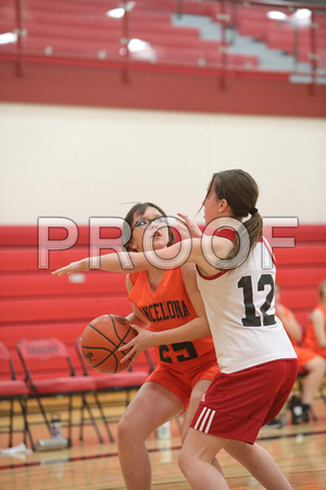 20211124_Mancelona Girls 8th loss to Bellaire_0128